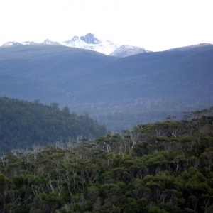 Hartz Mountains Tasmania